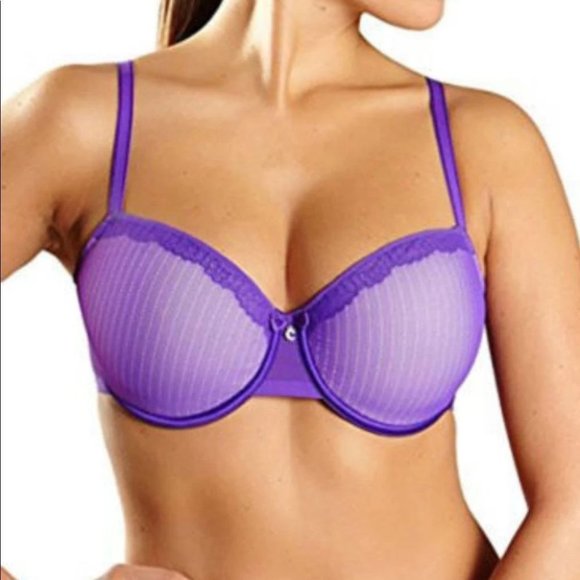 Chantelle Other - NWT Chantelle purple spacer Demi bra 36F
